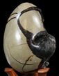Septarian Dragon Egg Geode - Crystal Filled #40892-4